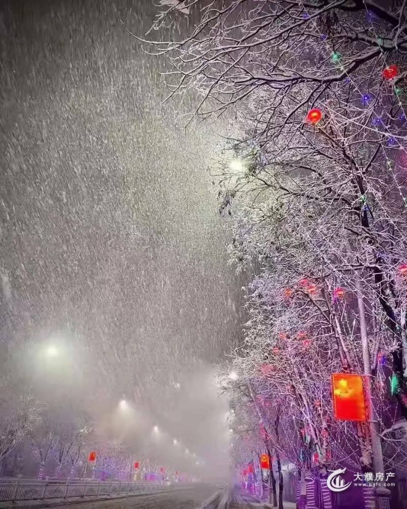 外面下雪,朋友圈也下雪.
